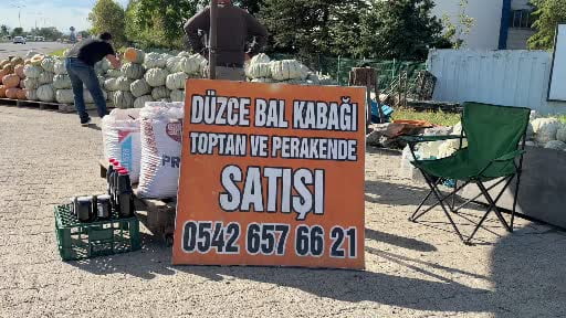 Düzce kabağının ünü ülke sınırları aştı