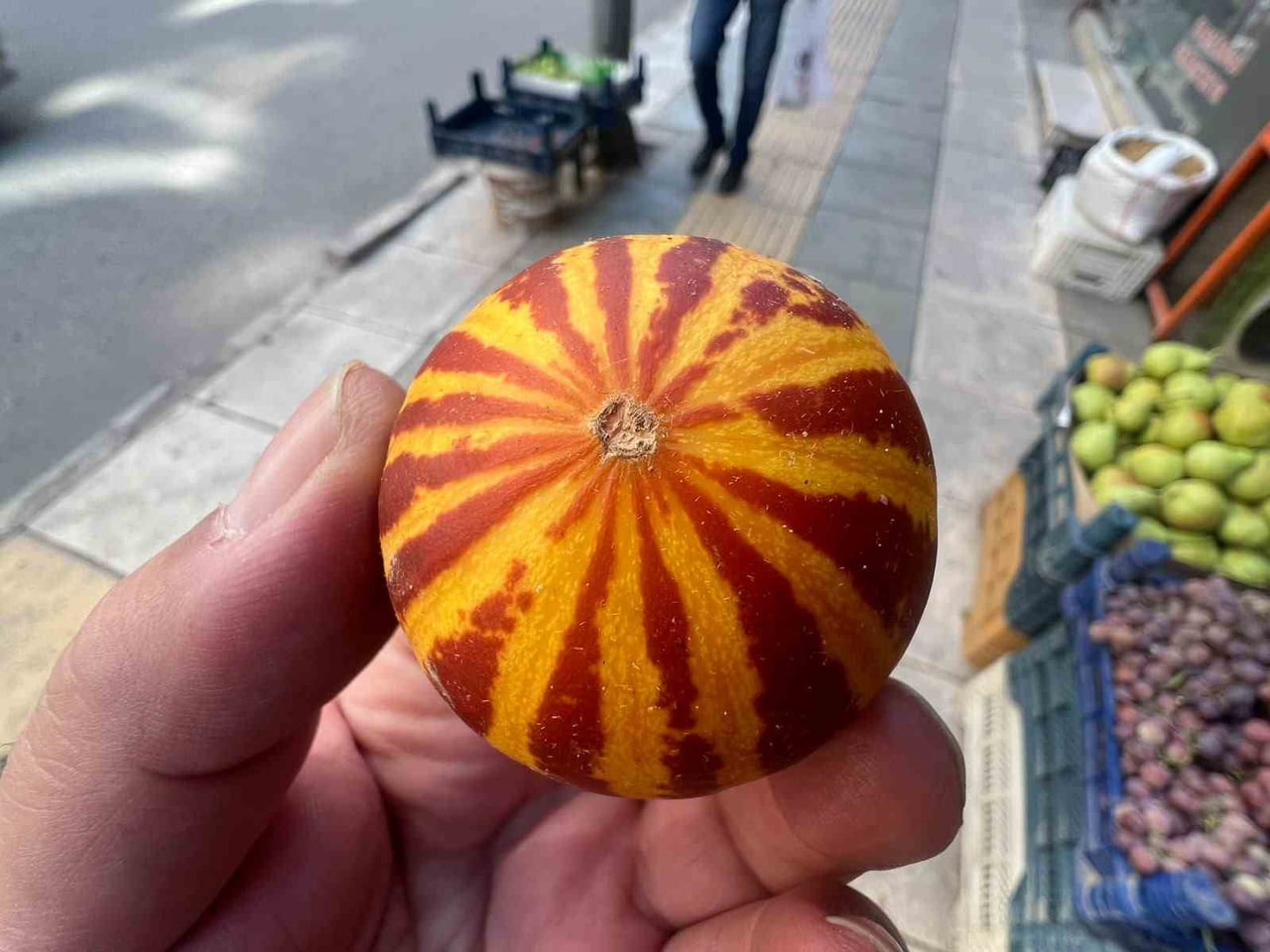 ELAZIĞ’DA KOKULU SÜS KAVUNU TEZGÂHLARDA