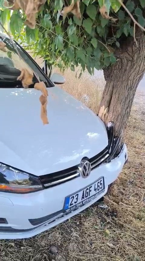 ELAZIĞ’DA YOLDAN ÇIKAN OTOMOBİL, AĞACA ÇARPTI. KAZADA, 2 KİŞİ YARALANDI.