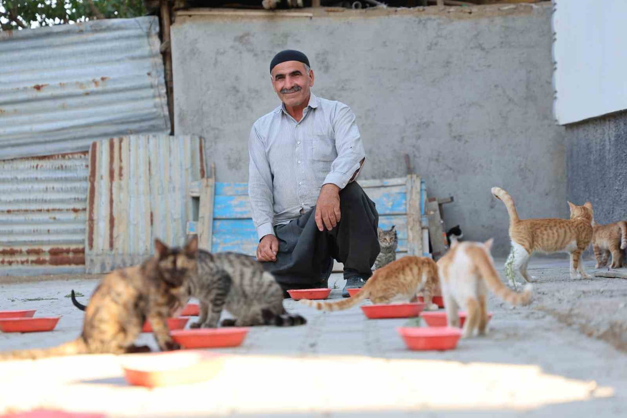 ELAZIĞ’IN ALTINÇEVRE MAHALLESİNDE YAŞAYAN İSMAİL DÜNDAR, 2016 YILINDAN BU YANA EVİNİN BAHÇESİNE...