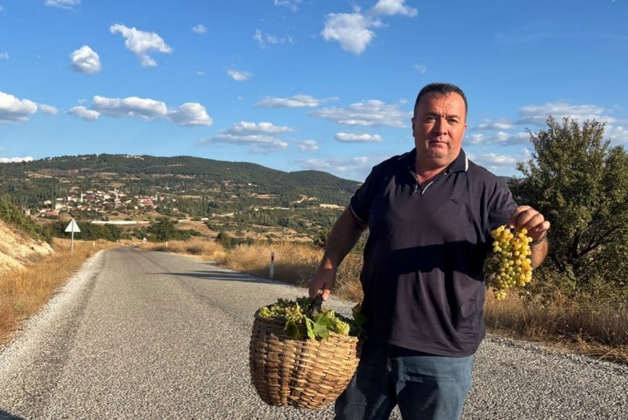 EMET İLÇESİ SÜLYE KÖYÜNDE BAĞ BOZUMU HEYECANI