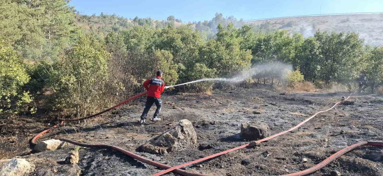EMET’TE DAĞLIK ALANDA ORMAN YANGINI