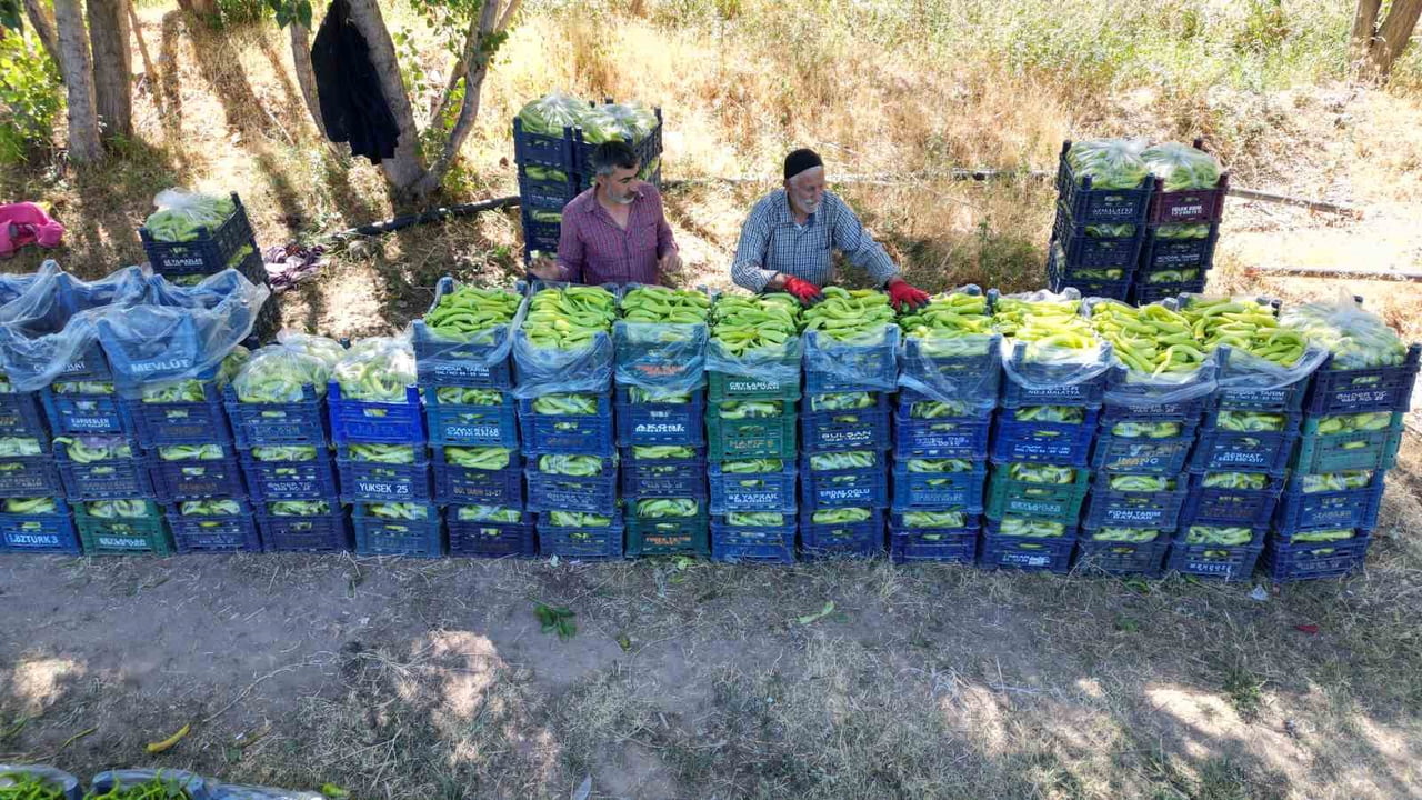 ERCİŞ İLÇESİ TEKEVLER MAHALLESİ'NDE İKAMET EDEN AHMET CAN (86), UZUN YILLARDIR ÇİFTÇİLİKLE...