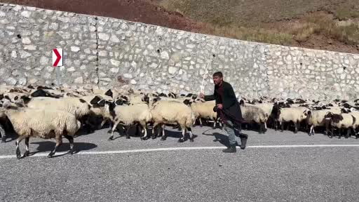Erzurum’da göçerlerin zorlu "Kışa dönüş" mesaisi başladı