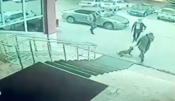 ERZURUM PALANDÖKEN İLÇESİ KAYMAKAMI YUNUS KIZILGÜNEŞ VE KORUMASININ "BİR KÖPEĞE TEKME ATTIĞI VE...