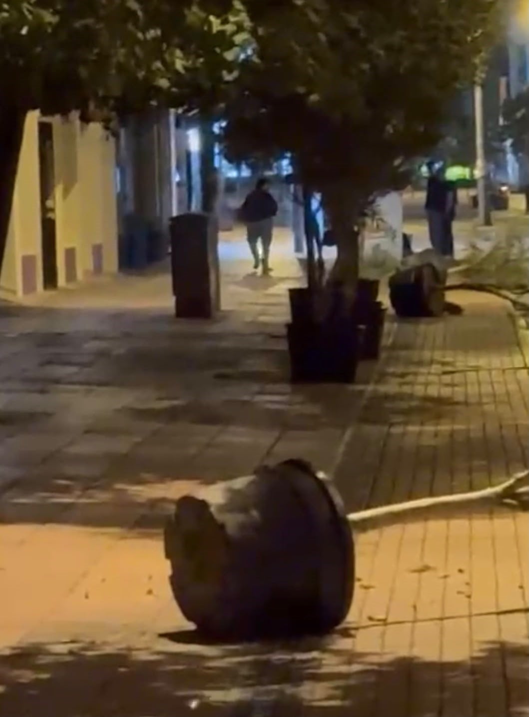 ESKİŞEHİR'DEKİ İSMET İNÖNÜ CADDESİ'NDE GECE SAATLERİNDE YÜRÜYEN BİR KİŞİ, YOL KENARINDA BULUNAN...