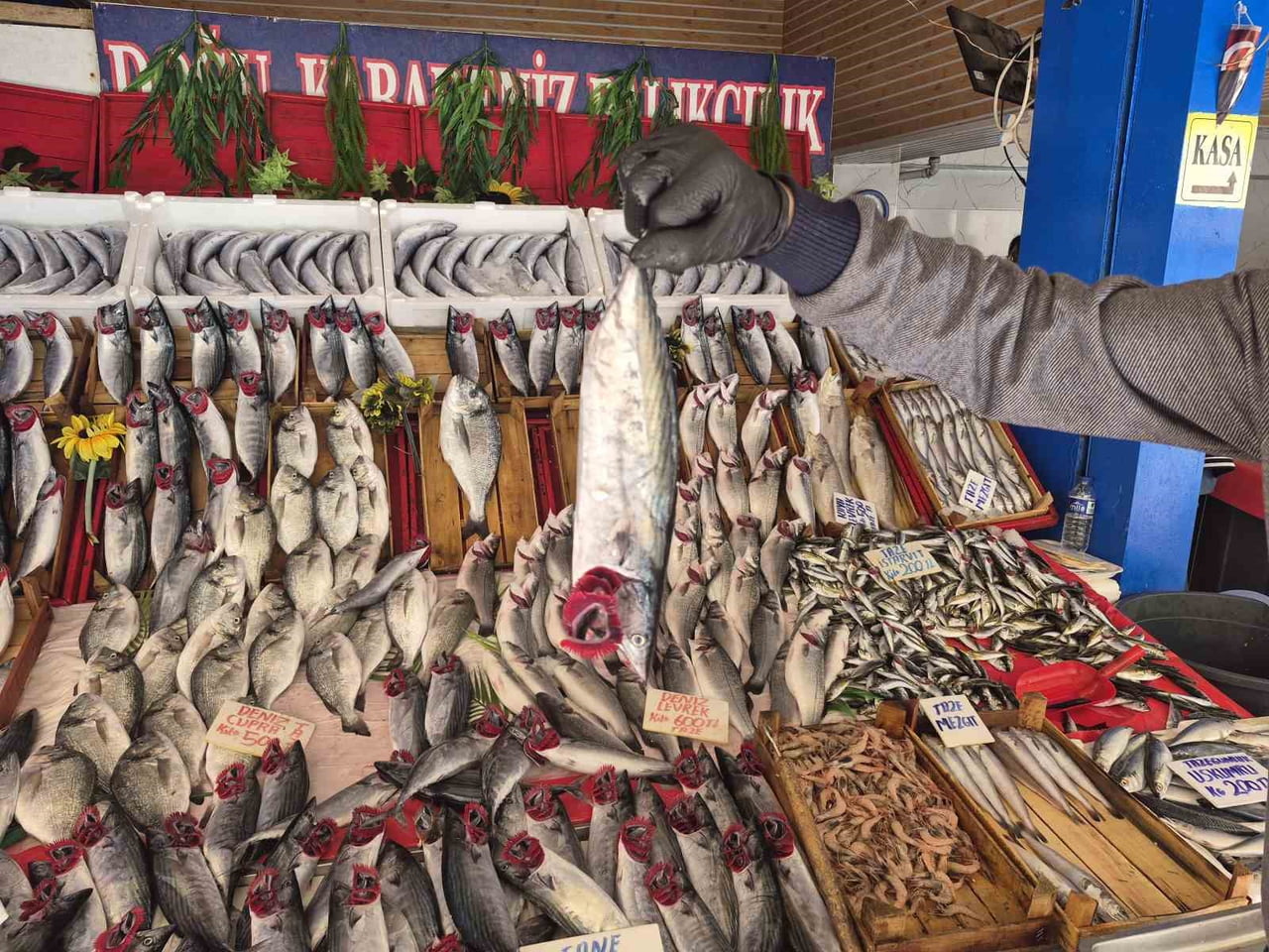 ESKİŞEHİR’DE BALIK SEZONUNUN AÇILMASIYLA BİRLİKTE TEZGAHLARDAKİ HAREKETLİLİK ARTARKEN, BU SEZON...