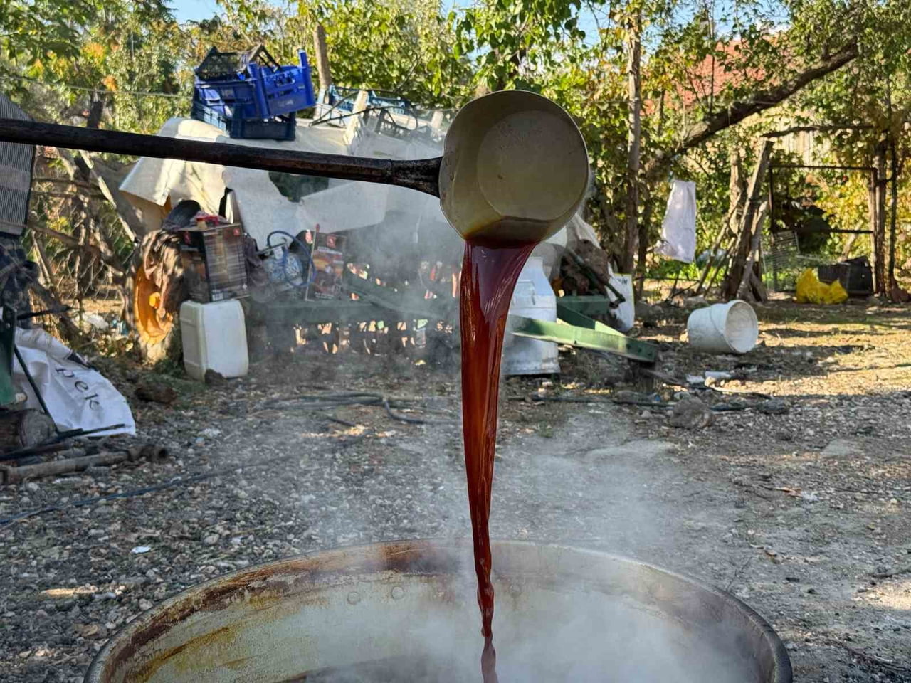 ESKİŞEHİR’İN KIRSAL YUNUSEMRE MAHALLESİ’NDE BAĞ BOZUMUNUN ARDINDAN TOPLANAN ÜZÜMLER, GELENEKSEL...