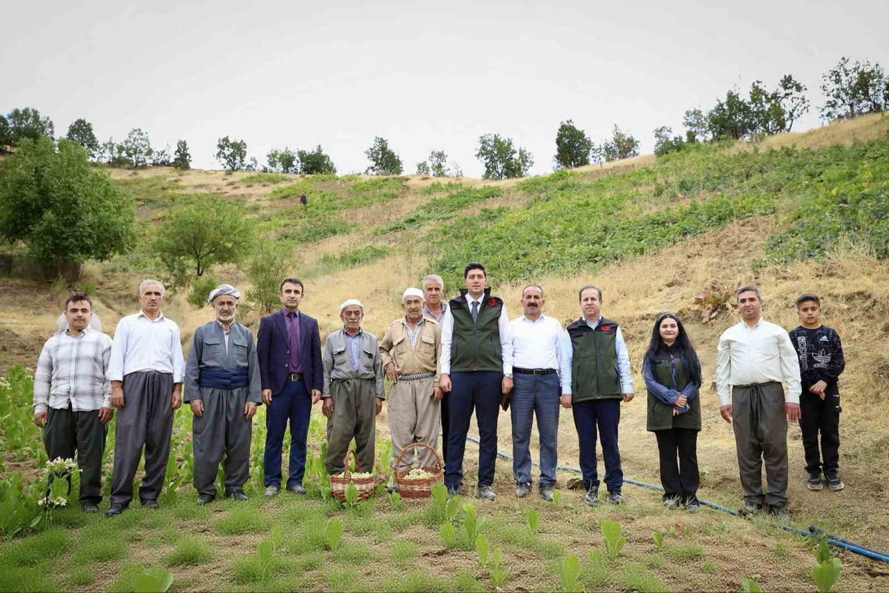 HAKKARİ’NİN ŞEMDİNLİ İLÇESİNDE ÜZÜM HASADI BAŞLADI.