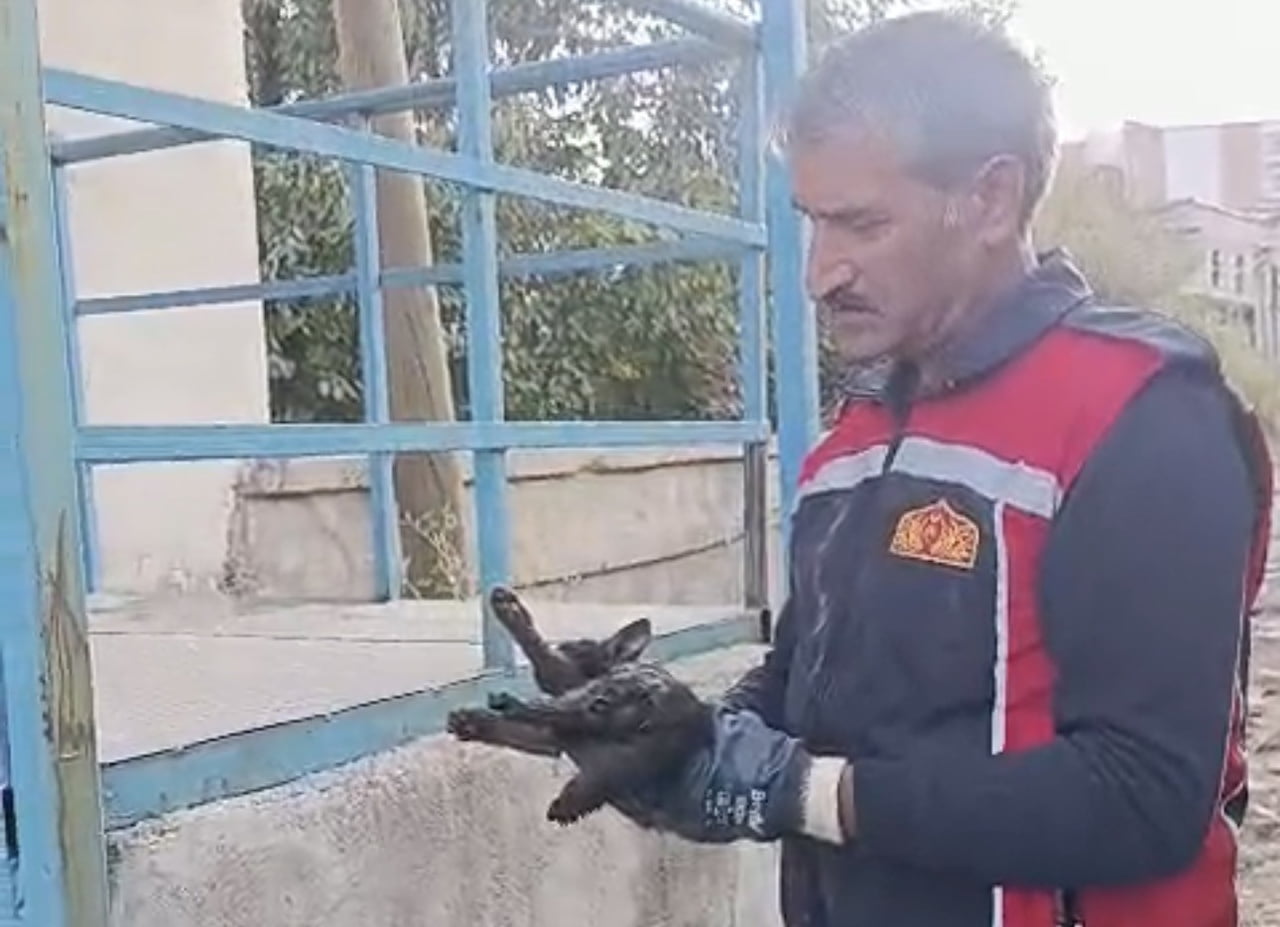 HAKKARİ’NİN YÜKSEKOVA İLÇESİNDE PARK HALİNDEKİ TİCARİ ARACIN MOTOR VE ALT BÖLÜMÜNDE MAHSUR KALAN...