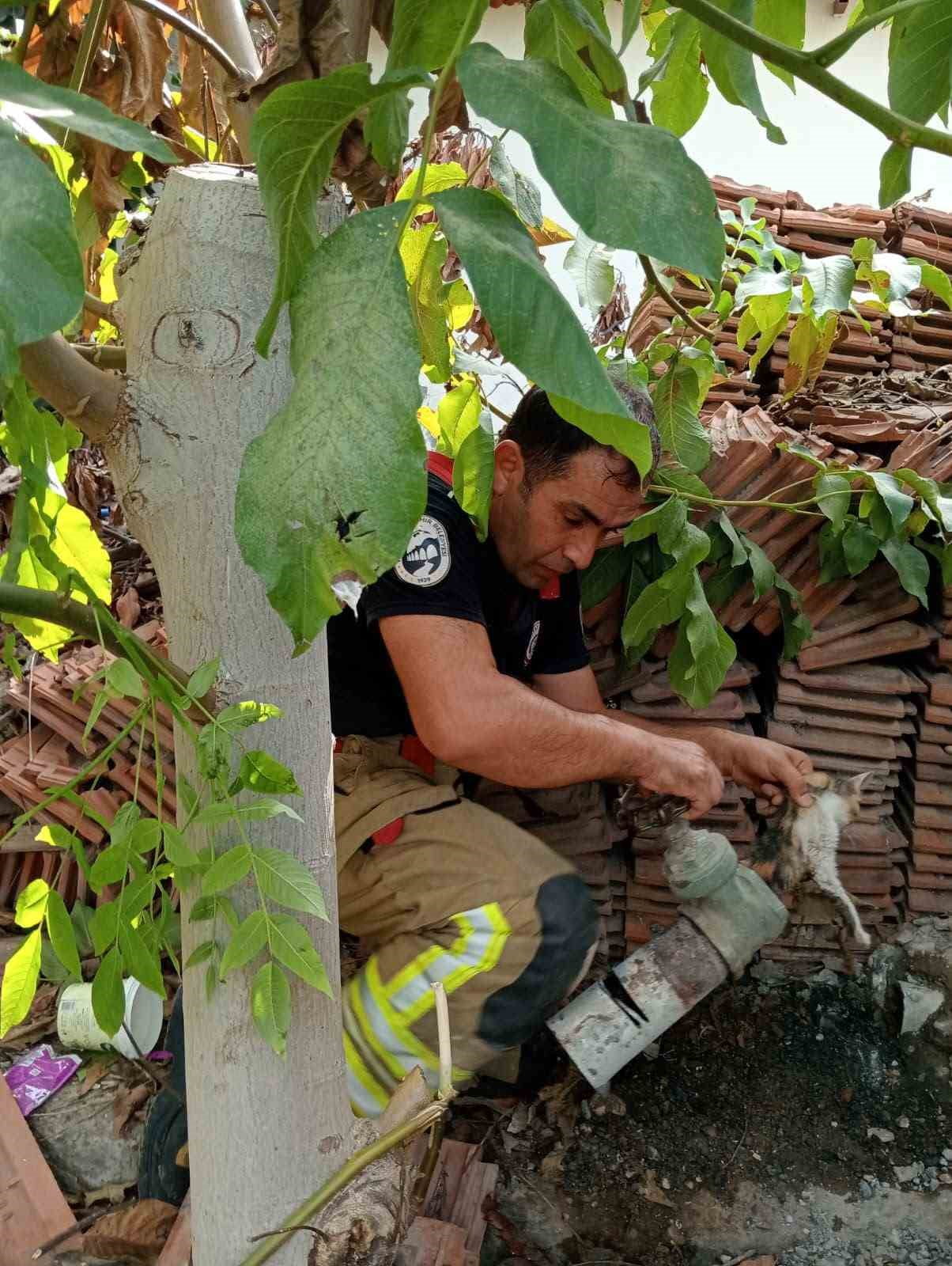 HATAY'DA GİRDİĞİ BORUNUN VANASINDA SIKIŞARAK MAHSUR KALAN YAVRU KEDİ, İTFAİYE EKİPLERİNİN UZUN...