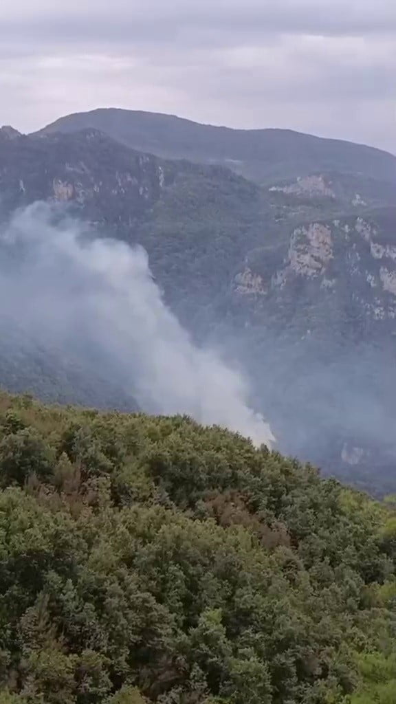 HATAY'DA GÜRLEVİK YAYLASI MEVKİİNDE ORMANLIK ALANDA ÇIKAN YANGINA EKİPLERİN MÜDAHALESİ...