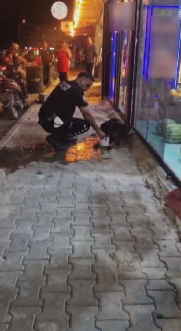 HATAY’IN SAMANDAĞ İLÇESİNDE SİLAHLA VURULARAK YARALANAN SOKAK KÖPEĞİNE POLİS EKİPLERİ SAHİP ÇIKTI....