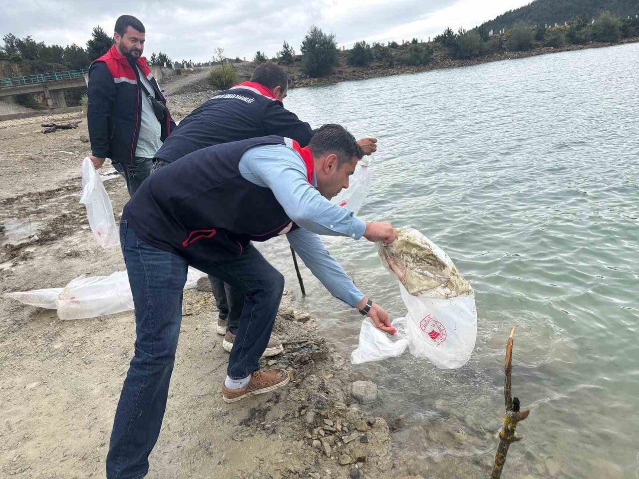 HAVZA İLÇE TARIM EKİPLERİ