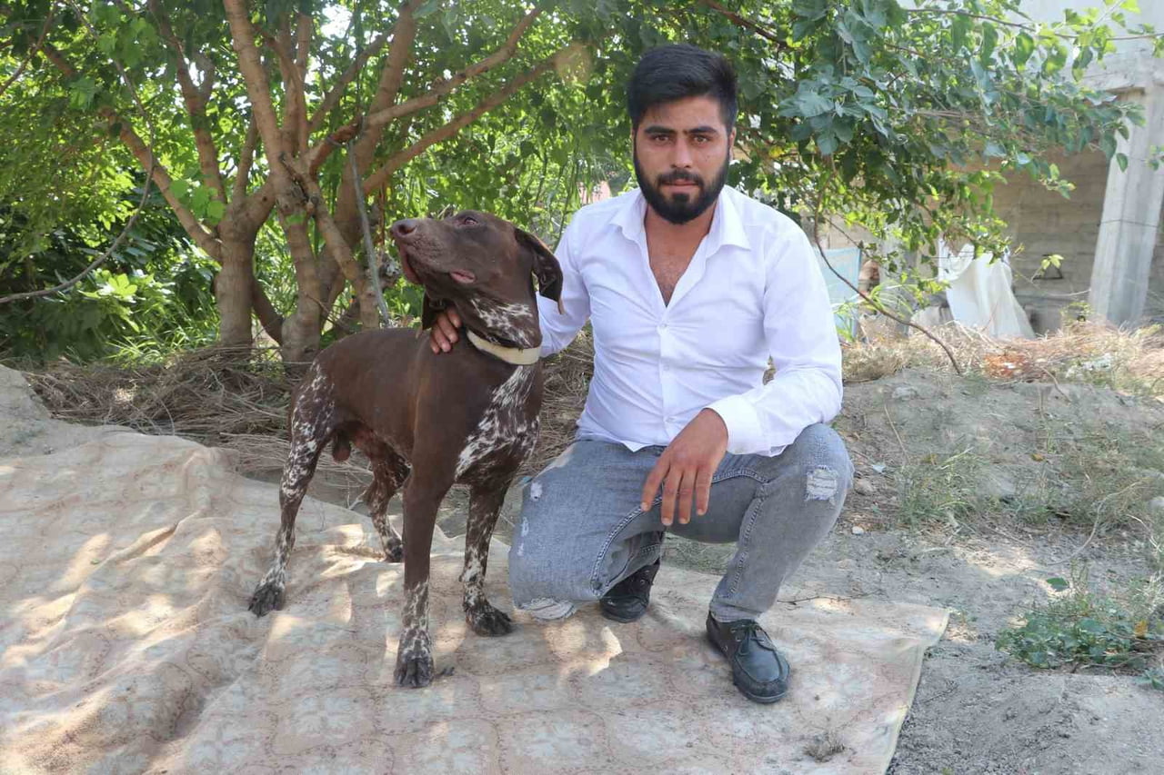 İBRAHİM ARAP, "VETERİNER ÇAĞIRDIM, MÜDAHALELERİNİ YAPTIRDIM. KÖPEĞİ ESKİ SAĞLIĞINA KAVUŞTURACAĞIZ....