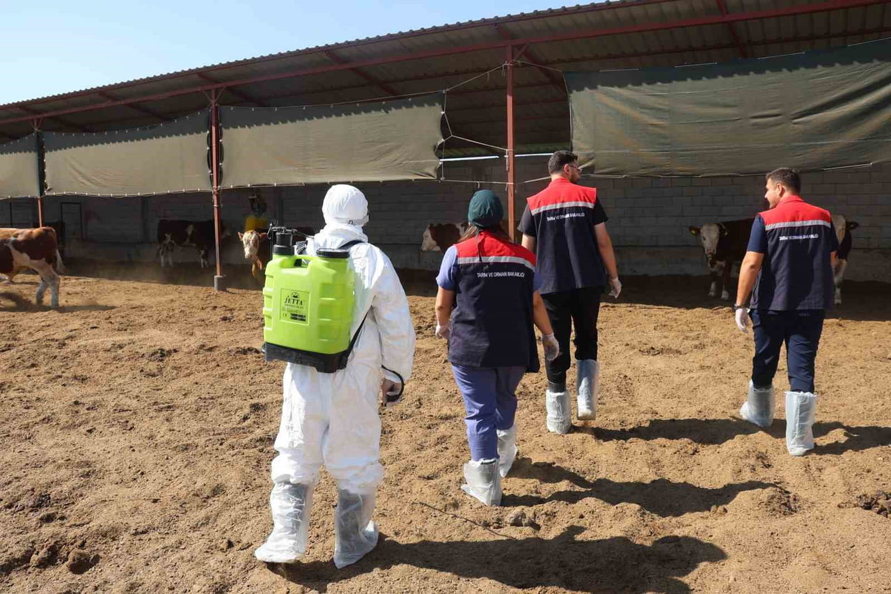 IĞDIR’DA HAYVAN HASTALIKLARININ ÖNLENMESİ VE MUHTEMEL SALGINLARIN YAYILMASININ ENGELLENMESİ...