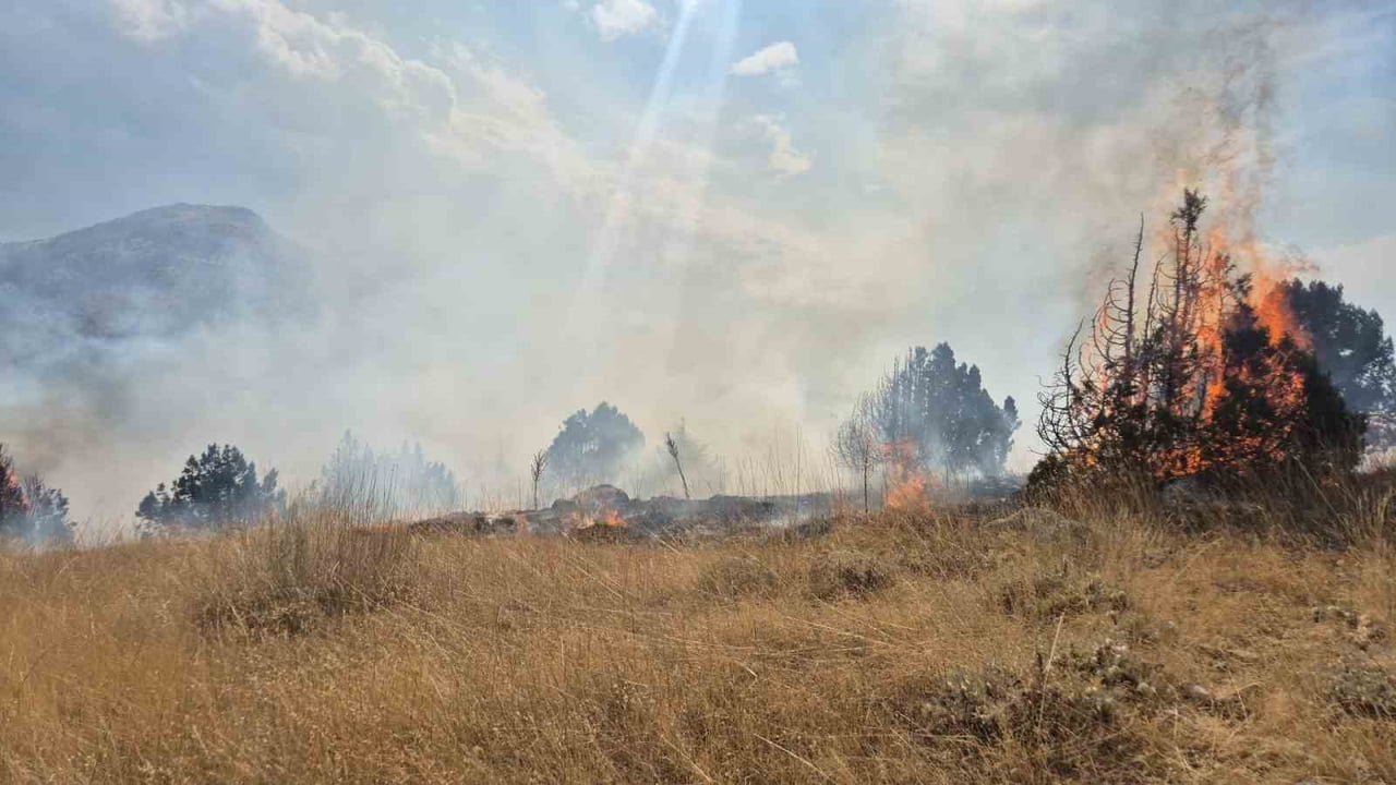 ISPARTA'NIN YALVAÇ İLÇESİNDE ORMANLIK ALANDA ÇIKAN YANGIN, EKİPLERİN YAKLAŞIK 6 SAATLİK...