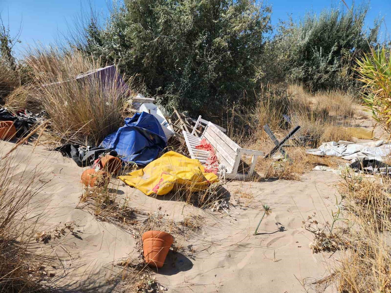 İZMİR’DE ÇEŞME ALTINKUM PLAJI’NIN ARKA BÖLÜMÜNDE, KORUMA ALTINDA BULUNAN KUM ZAMBAKLARININ...