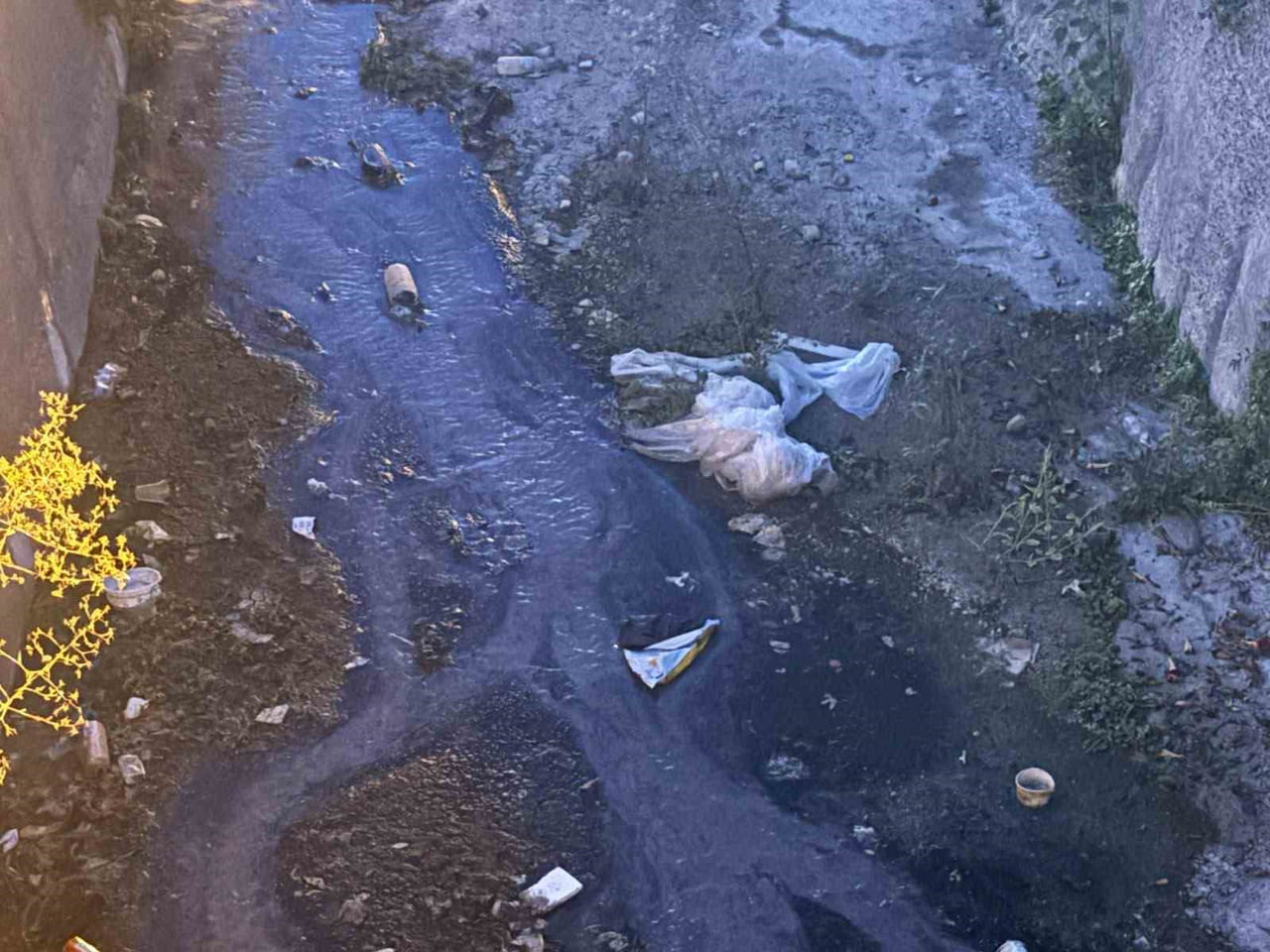 İZMİR’İN URLA İLÇESİNDE BULUNAN BİR DEREDEKİ KİRLİLİK VE KÖTÜ KOKUYA TEPKİ GÖSTEREN VATANDAŞLAR...