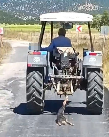 KAHRAMANMARAŞ’IN ANDIRIN İLÇESİNDE BİR KÖPEĞİN TRAKTÖRÜN ARKASINA BAĞLANARAK SÜRÜKLENMESİ SONUCU...