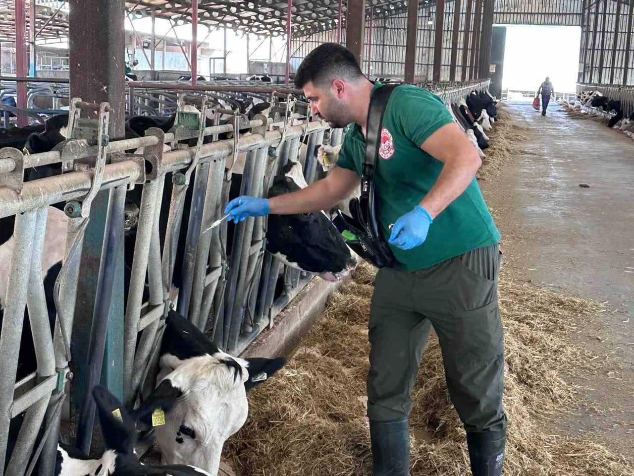 KAHRAMANMARAŞ’TA HAYVAN SAĞLIĞININ KORUNMASI VE ŞAP HASTALIĞIYLA MÜCADELE AMACIYLA 2026 YILI...