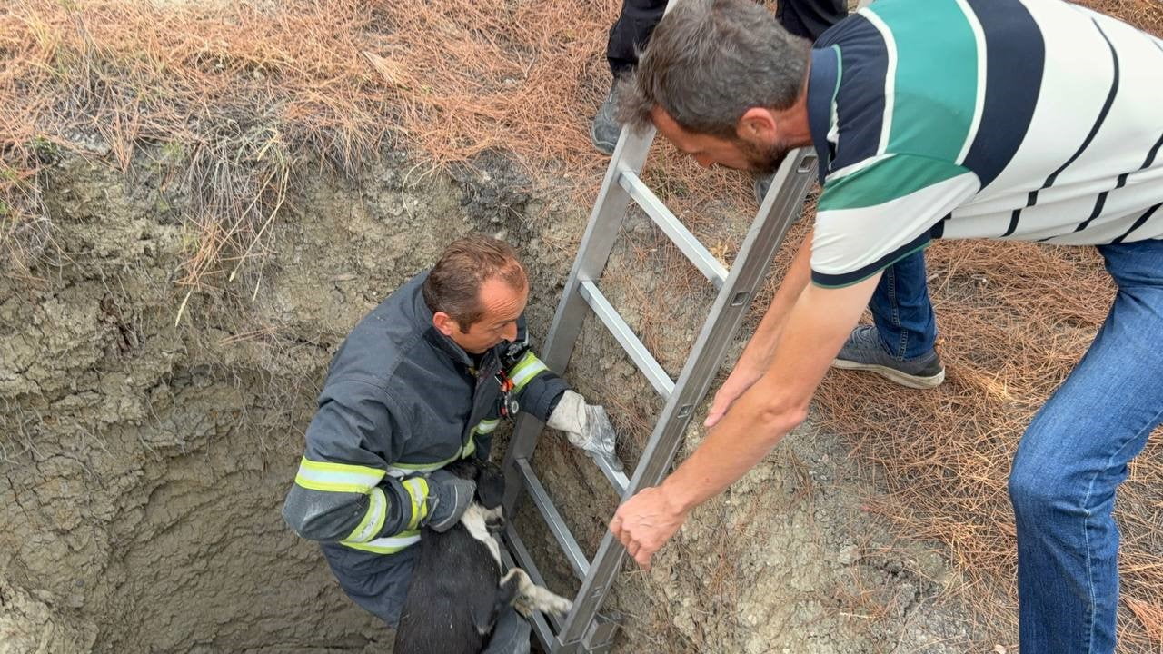 KARABÜK'TE ORMANLIK ALANDA YAKLAŞIK 10 METRE DERİNLİĞİNDEKİ KUYUYA DÜŞEN SOKAK KÖPEĞİ, İTFAİYENİN...