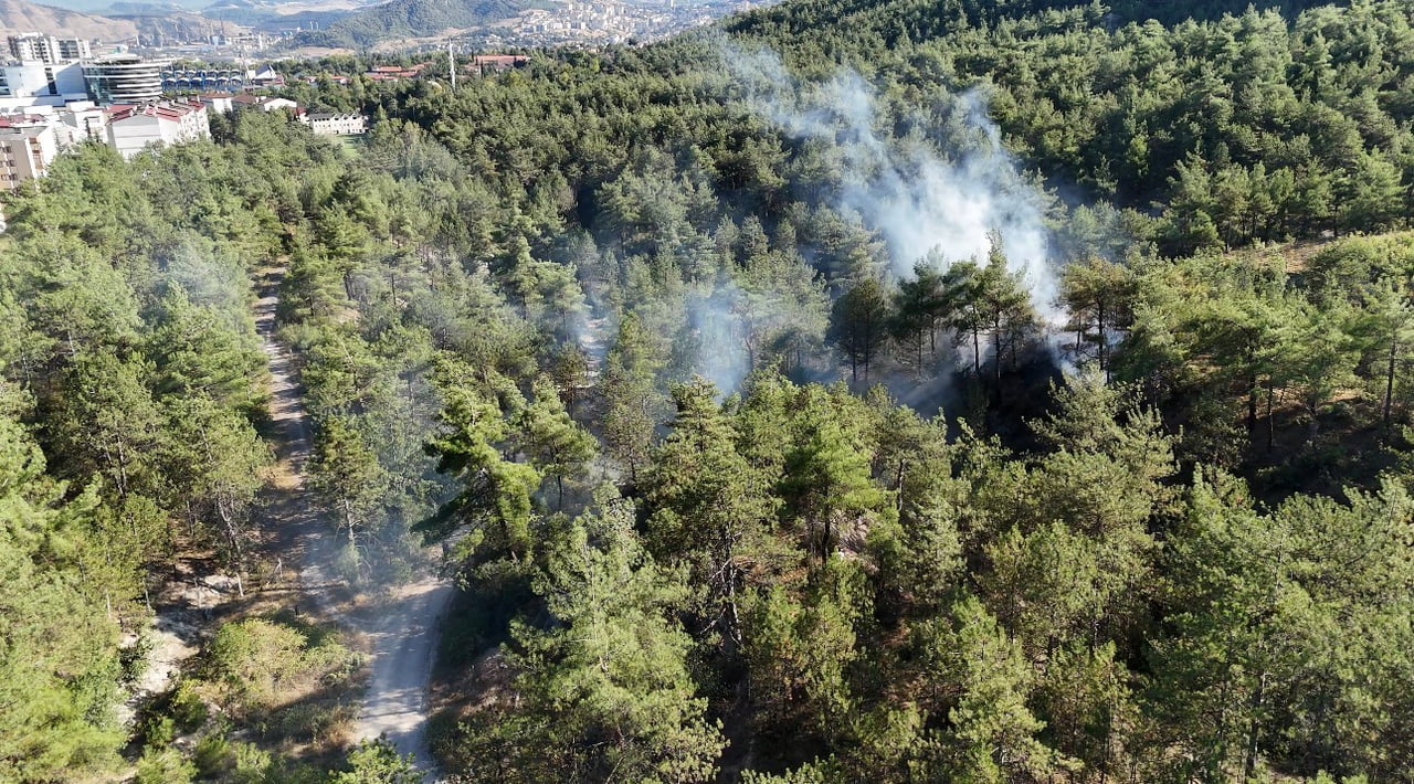 KARABÜK’TE ORMANLIK ALANDA ÇIKAN ÖRTÜ YANGINI, EKİPLERİN MÜDAHALESİYLE BÜYÜMEDEN...