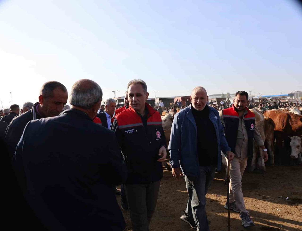 KARS HAYVAN PAZARI’NDA SIKI DENETİM: HAYVAN HAREKETLİLİĞİNE SAĞLIK VE GÜVENLİK...