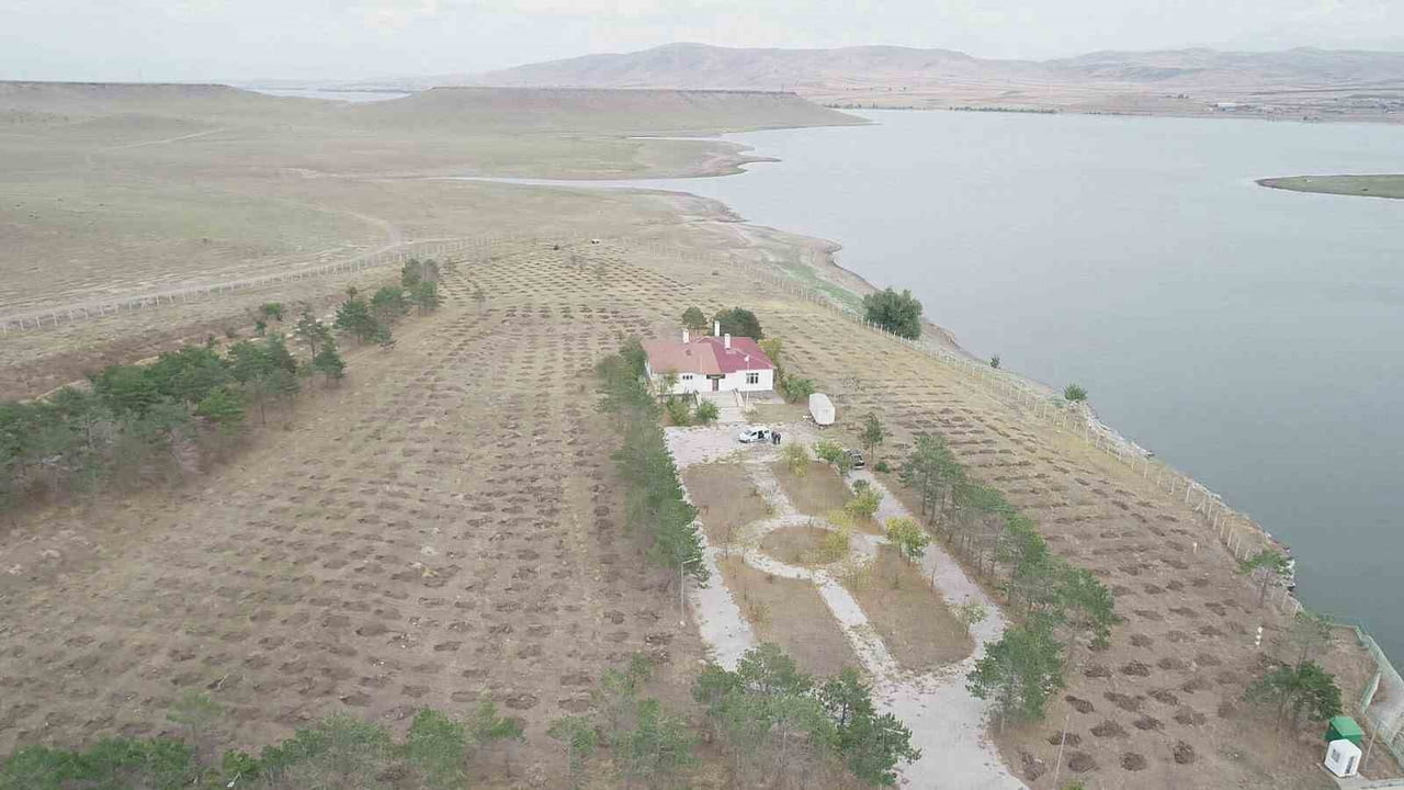 KARS’TA “YEŞİL VATAN” İÇİN KURUMLAR GÜÇLERİNİ BİRLEŞTİRDİ(KARS-İHA)