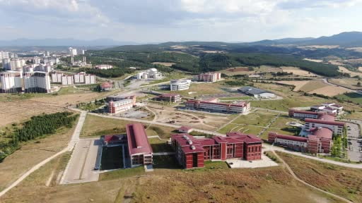Kastamonu'da tespit edilen yeni akar türü bilim literatürüne kazandırıldı