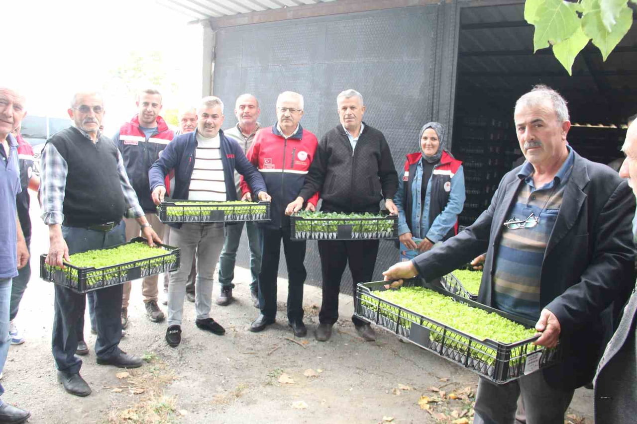 KASTAMONU'NUN İNEBOLU İLÇESİNDE 65 ÇİFTÇİYE, YÜRÜTÜLEN PROJE ÇERÇEVESİNDE 88 BİN 400 ADET SEBZE...