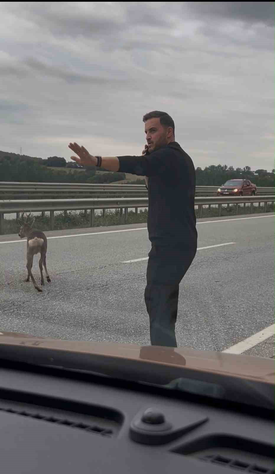 KAVAK'TA ÖRNEK DAVRANIŞ! YARALI GEYİĞİN YARDIMINA KOŞTULAR
