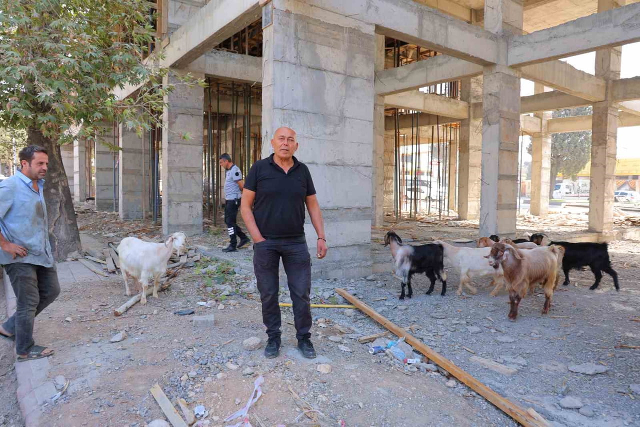 KEÇİLERİ BULAN ESNAF AHMET GÖKPUR, "HAYVANLAR KARŞI SOKAKTAN GELDİ DOLAŞTILAR VE BURADA BİZ VE...