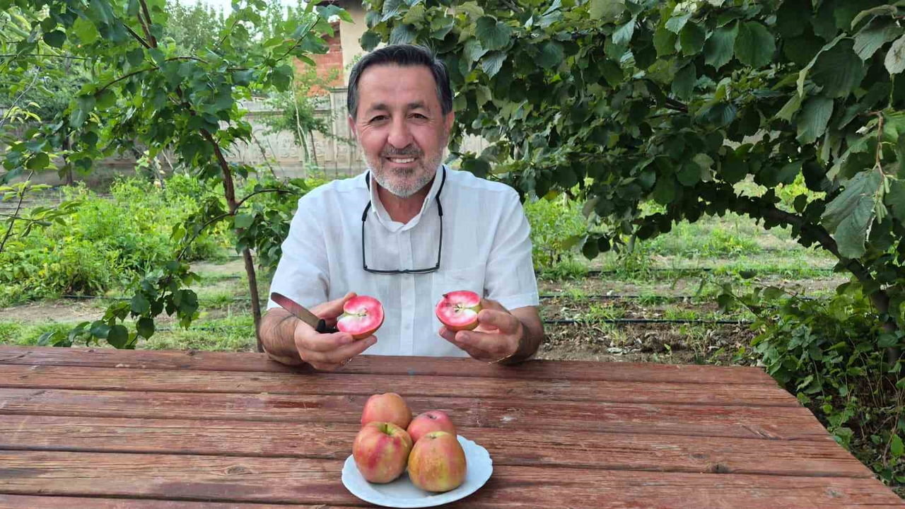 KENTTE HOBİ AMAÇLI BAHÇECİLİK YAPAN EMEKLİ DURSUN DOĞAN'IN YETİŞTİRDİĞİ ÖZEL MEYVE, HEM RENGİ VE...
