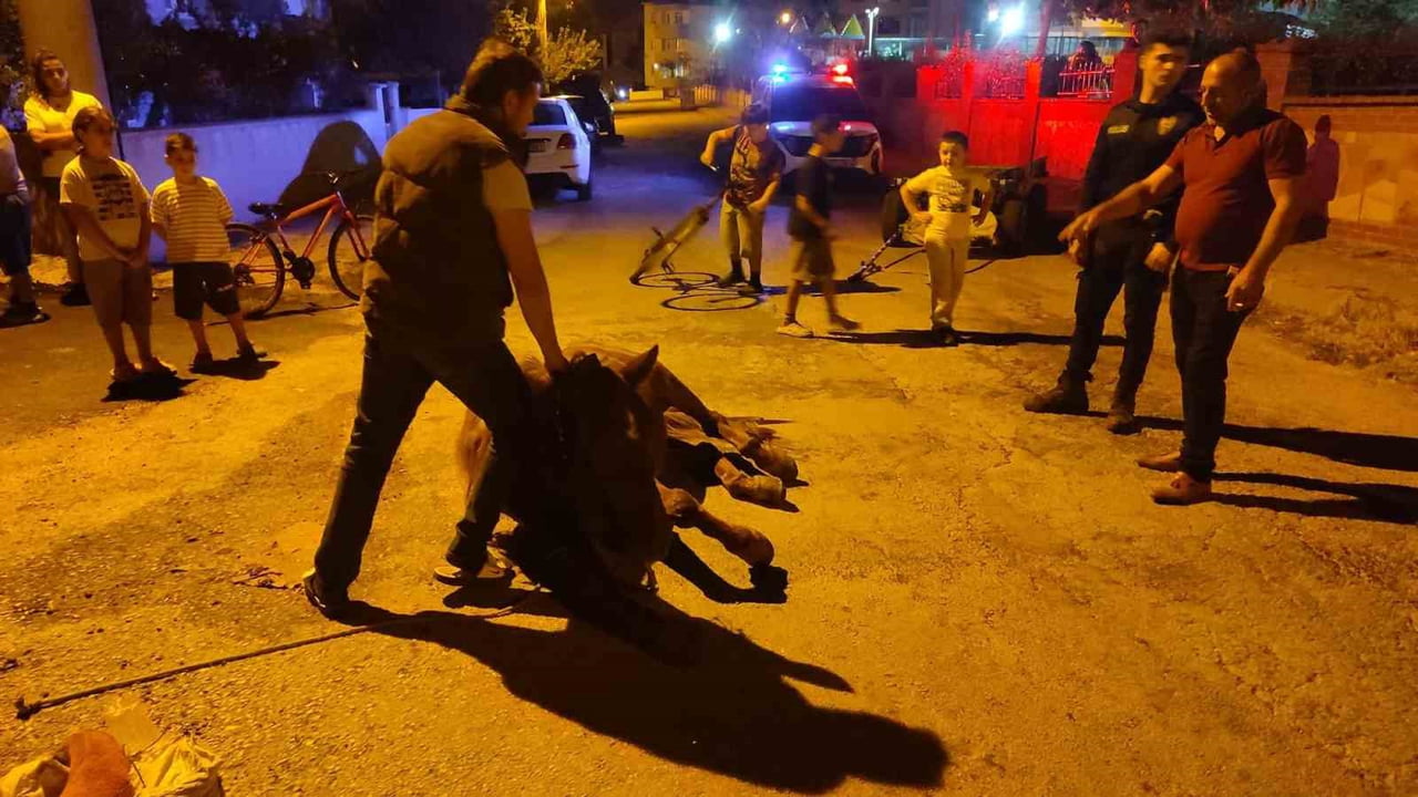 KEŞAN’DA ATA ŞİDDET UYGULADIKLARI İDDİASIYLA 2 KİŞİ HAKKINDA ADLİ İŞLEM BAŞLATILDI