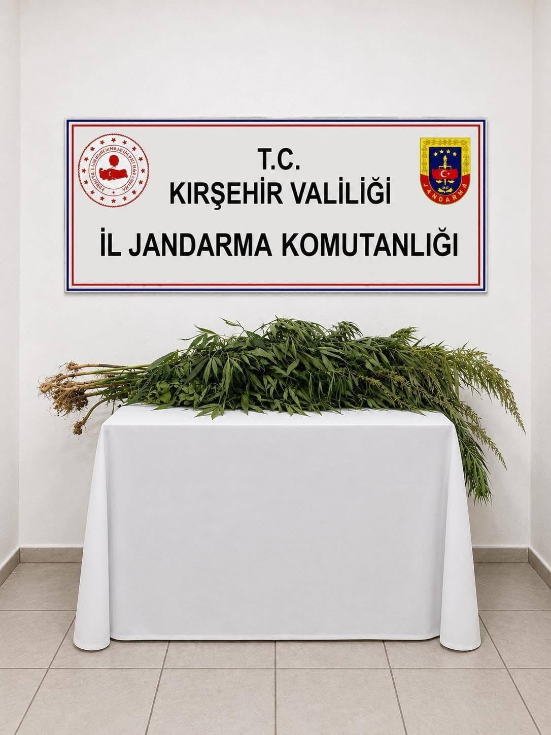 KIRŞEHİR'İN BOZTEPE İLÇESİNDE 30 KÖK UYUŞTURUCU MADDE ELE GEÇİRİLDİ.