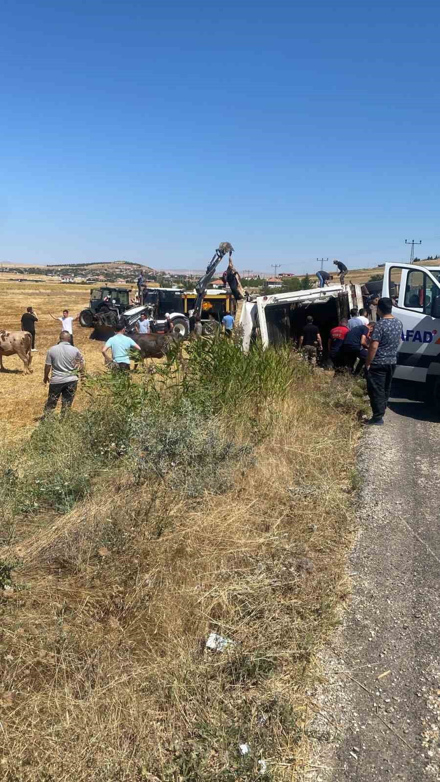 KIRŞEHİR'İN BOZTEPE İLÇESİNDE HAYVAN YÜKLÜ TIR YAN YATTI.