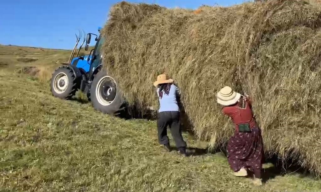 KIŞ AYLARININ UZUN VE ÇETİN GEÇTİĞİ ARDAHAN'DA BESİCİLER, HAYVANLARININ KIŞLIK YEM İHTİYACINI...