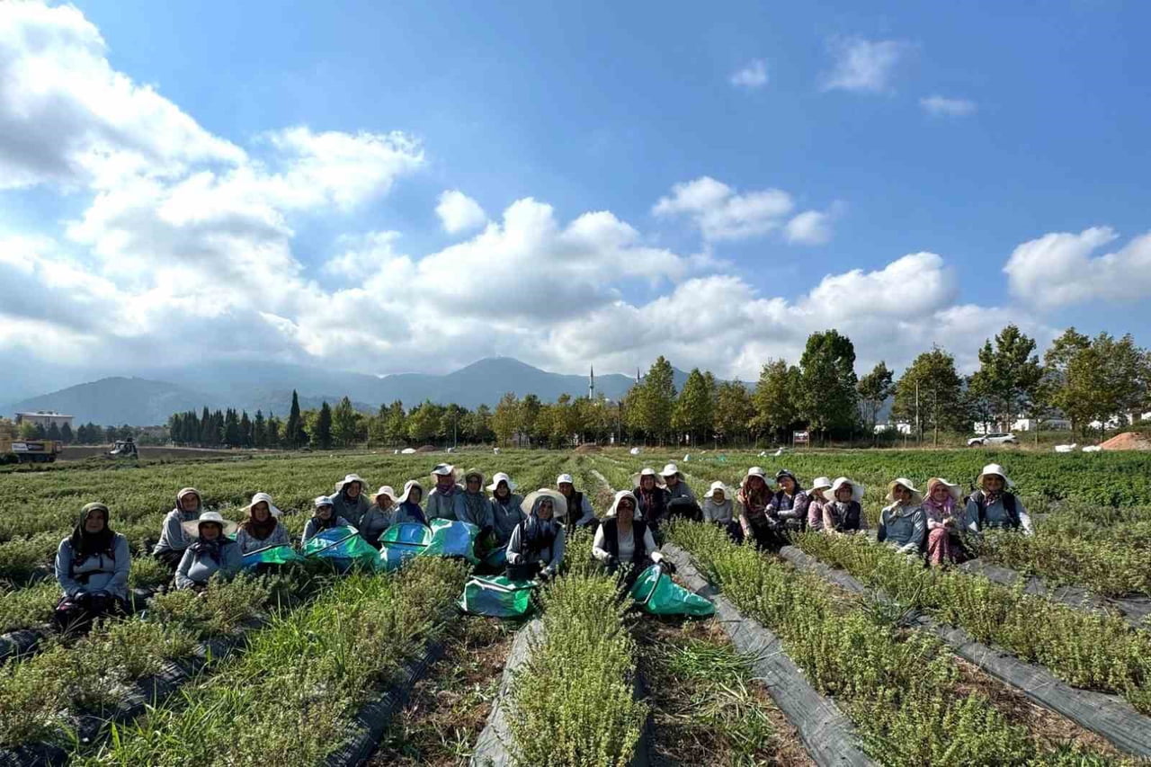 KOCAELİ’DE TIBBİ VE AROMATİK BİTKİLERİN ÜRETİMİNE YÖNELİK ÇALIŞMALAR SÜRERKEN, KADINLARIN EMEĞİYLE...