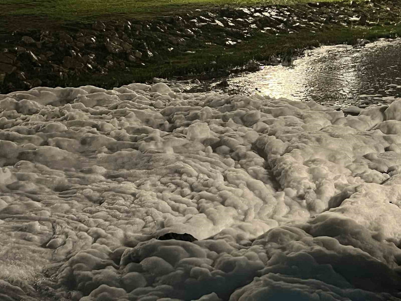 KOCAELİ’NİN İZMİT İLÇESİNDEKİ SEKAPARK SAHİLİNDE DENİZE AÇILAN TAHLİYE KANALINDA OLUŞAN YOĞUN...