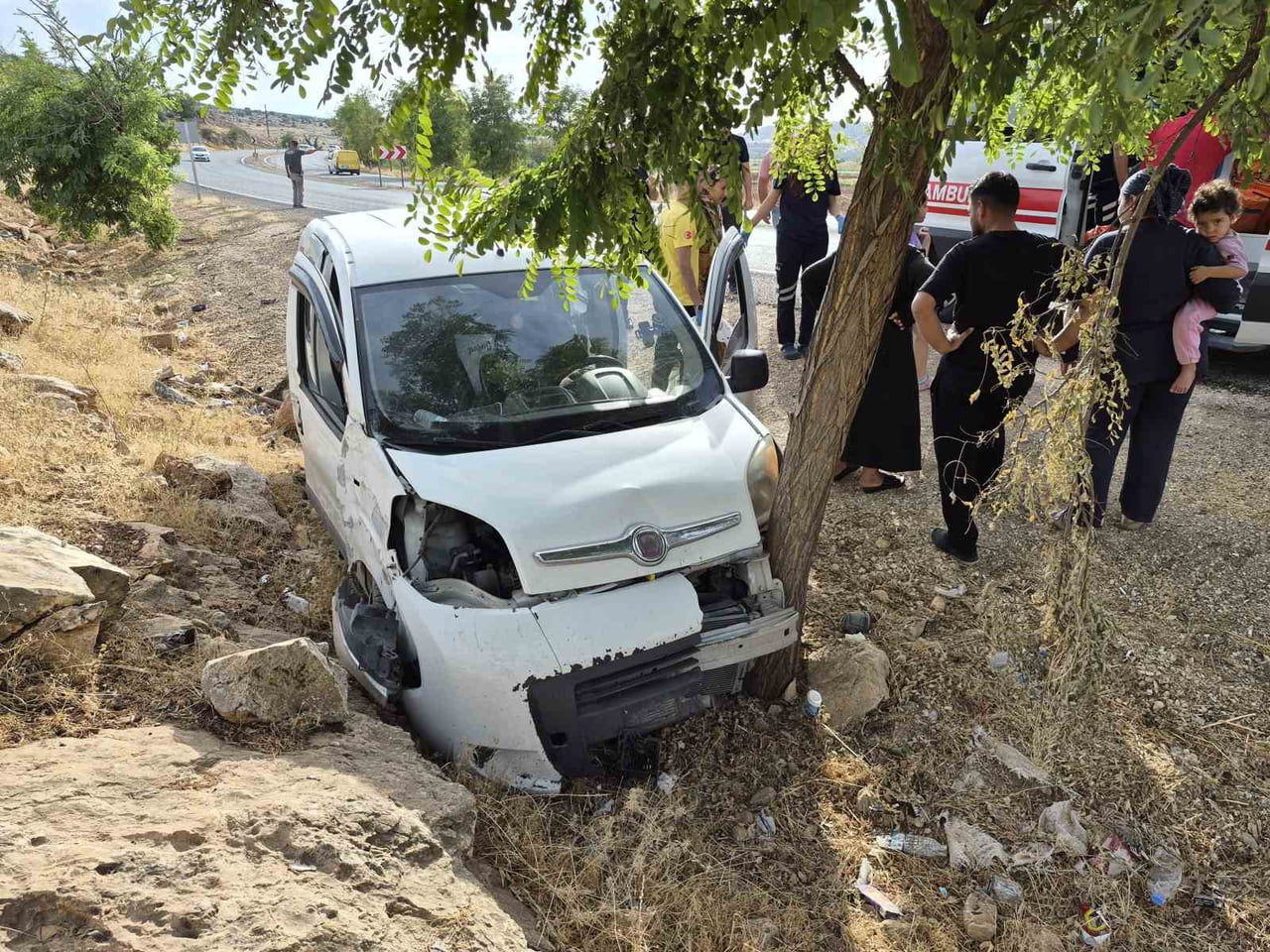 KONTROLDEN ÇIKAN HAFİF TİCARİ ARAÇ AĞACA ÇARPTI: 2 YARALI