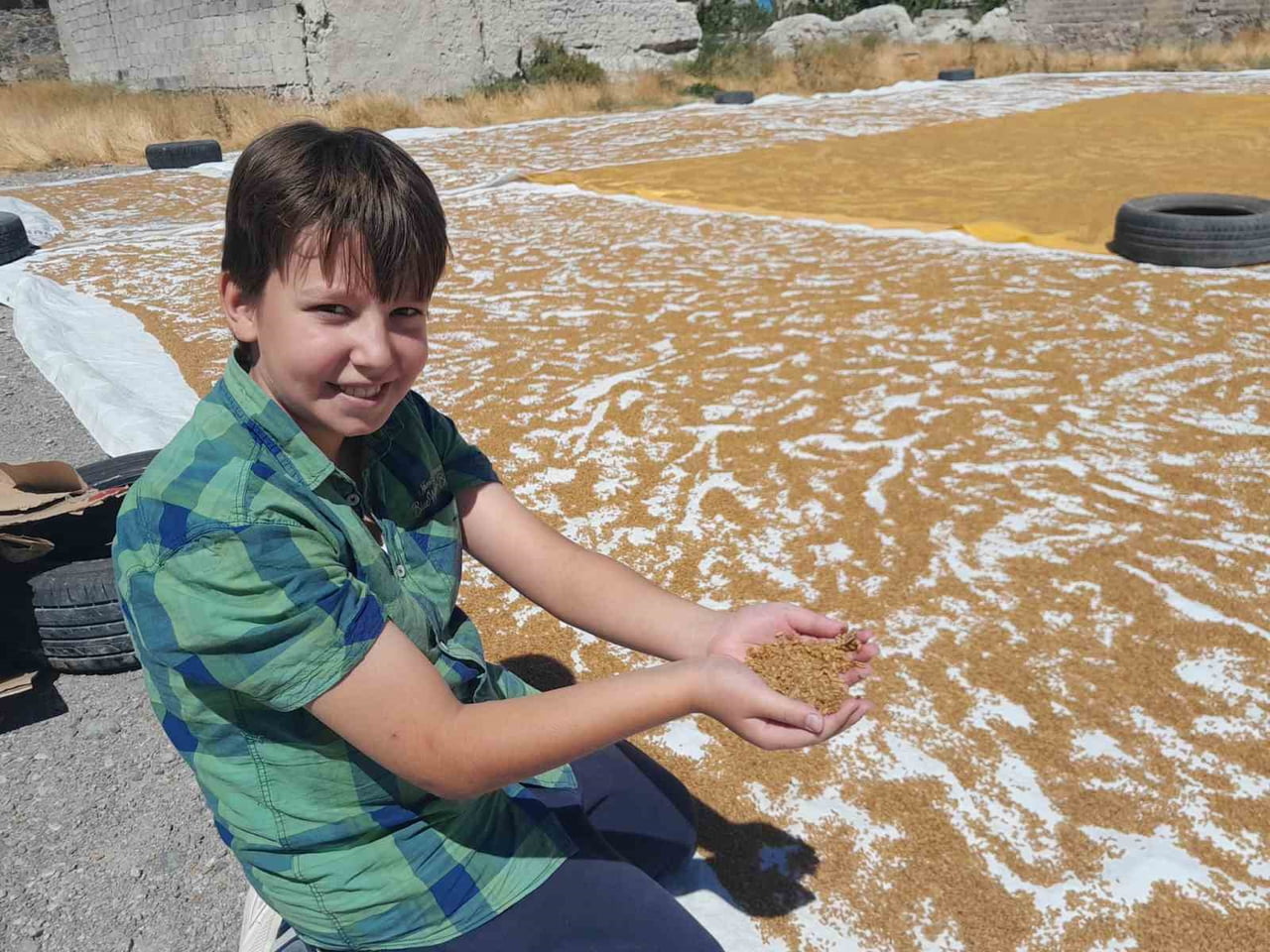 KONYA’NIN KARAPINAR İLÇESİNDE BUĞDAY HASADININ ARDINDAN EVLERDE KIŞLIK BULGUR HAZIRLIĞI BAŞLADI....
