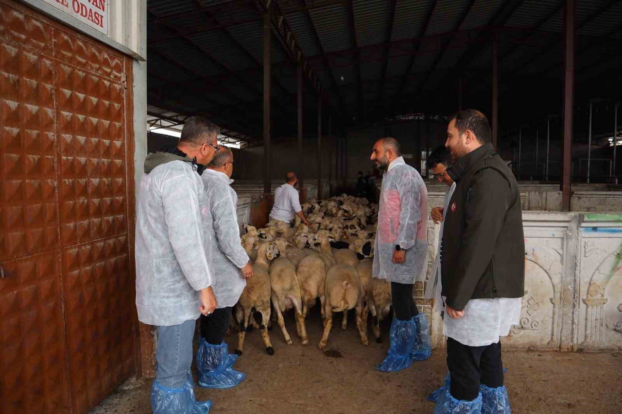 KONYA’NIN KARAPINAR İLÇESİNDE FAALİYET GÖSTEREN KESİMHANELER DENETLENDİ.