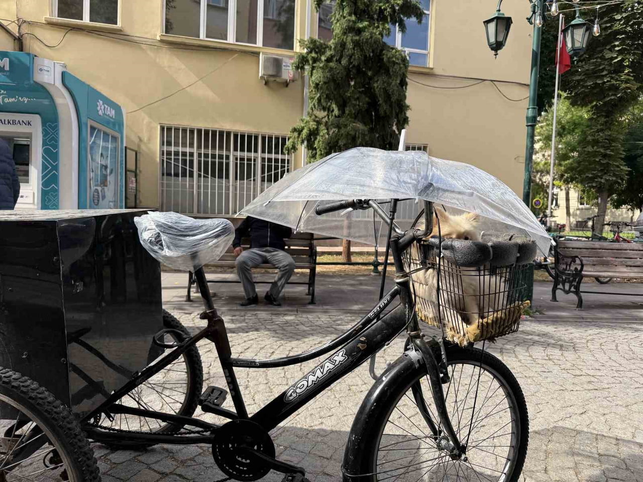 KÖPEK