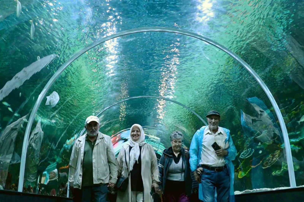 KÖRFEZ BELEDİYESİ TARAFINDAN, İLÇEDEKİ YAŞLILARIN SOSYAL HAYATA KATILIMINI ARTIRMAK AMACIYLA "60+...