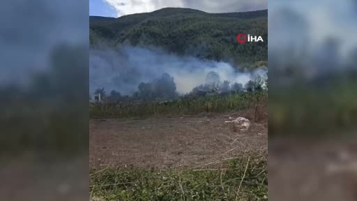 Korkutan ot yangını evlere sıçramadan söndürüldü