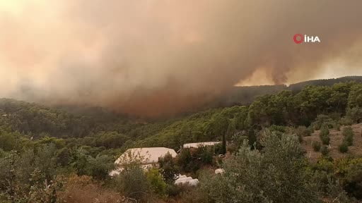 Kumluca'da orman yangını