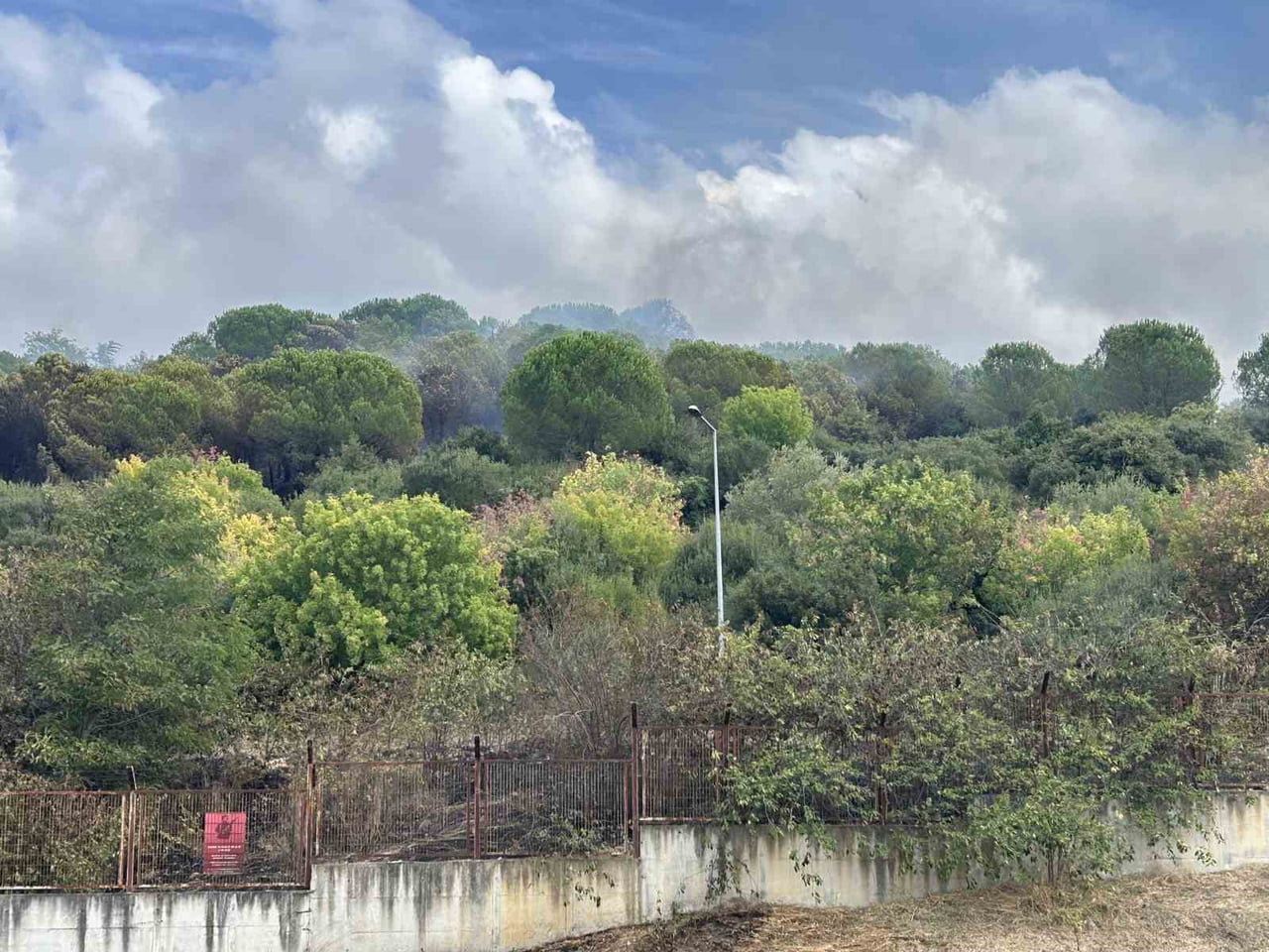 MALTEPE'DE YOL KENARINDA ÇIKAN YANGIN KENAN EVREN KIŞLASI'NDAKİ ORMANLIK ALANA SİRAYET ETTİ. ÇEVRE...