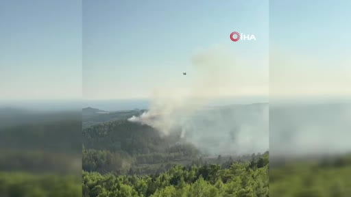 Manavgat'ta orman yangını