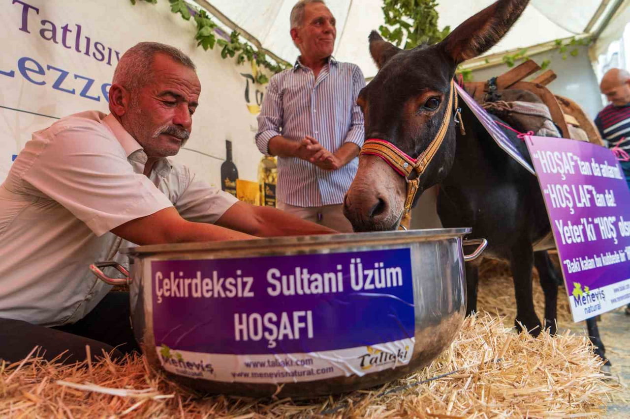 MANİSA’NIN SARUHANLI İLÇESİNDE DÜZENLENEN 19. ALTIN ÜZÜM VE KÜLTÜR FESTİVALİ’NDE ÜZÜM ÜRÜNLERİNİN...